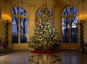 Как правильно установить новогоднюю елку в доме