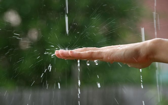 Дождливый рекорд установили в Харькове