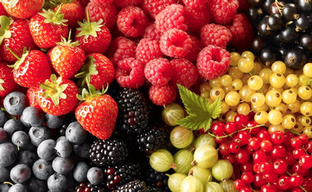 Какие ягоды следует покупать харьковчанам