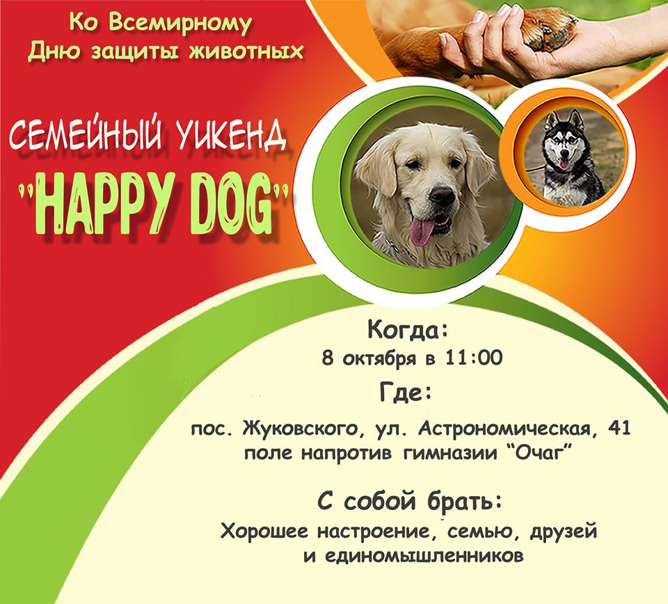 В Харькове проведут слет счастливых собак