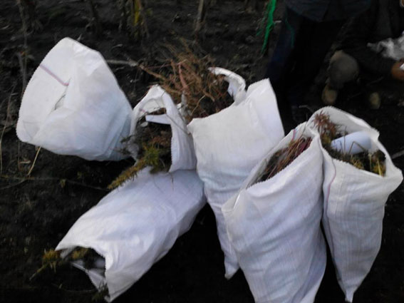 На Харьковщине обнаружили огромные запасы наркотиков (ФОТО)