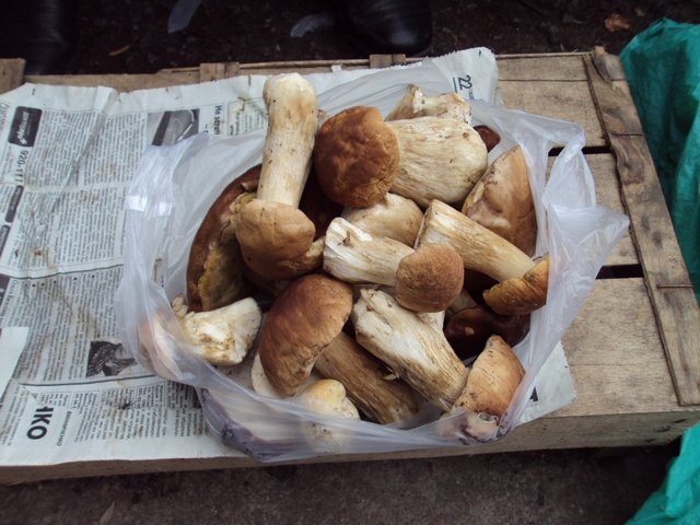 Продавец грибов осрамил женщину на Харьковщине