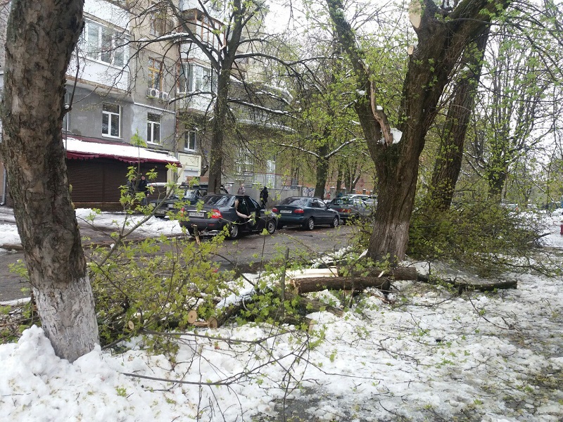 Последствия стихии в Харькове. Новая информация