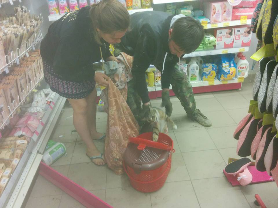 Беременная до полусмерти напугала продавцов магазина в Харькове