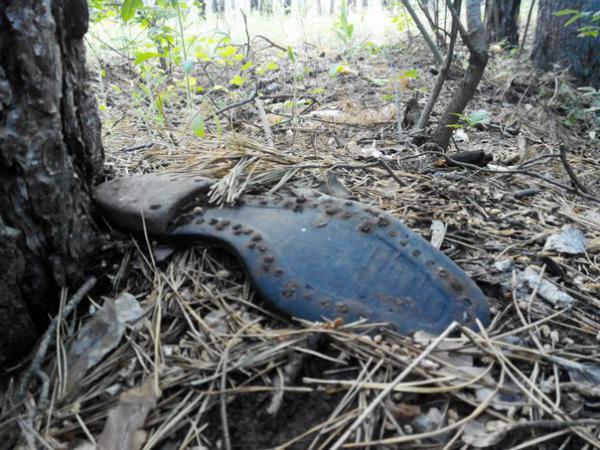 Шокирующую находку обнаружили в лесу на Харьковщине