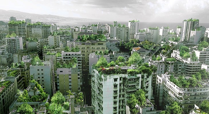 Крыши харьковских многоэтажек хотят засадить зеленью
