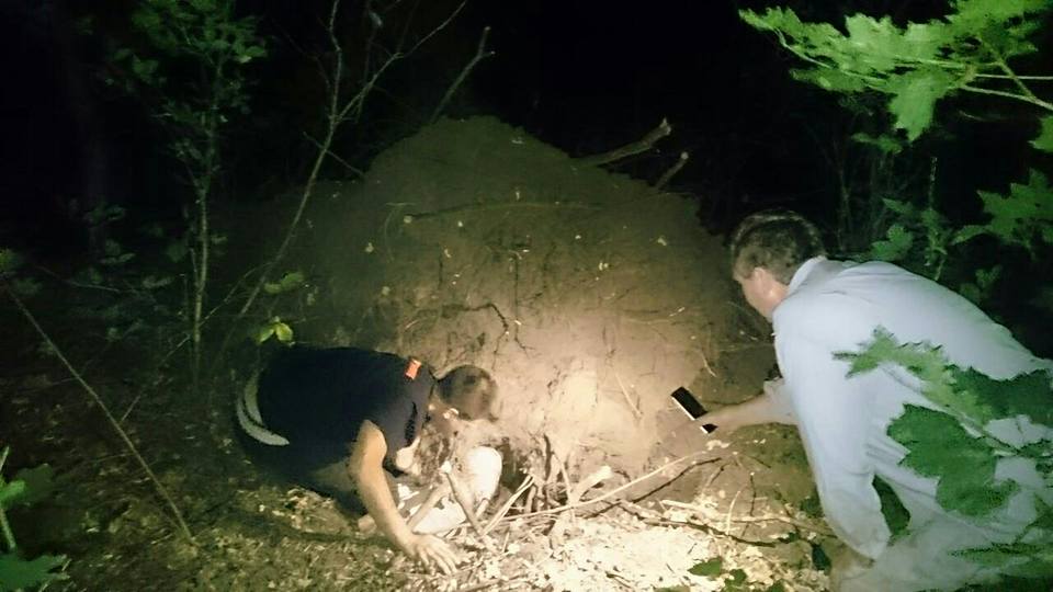 Неожиданный случай в лесу под Харьковом. В яме обнаружили обреченное существо (фото)