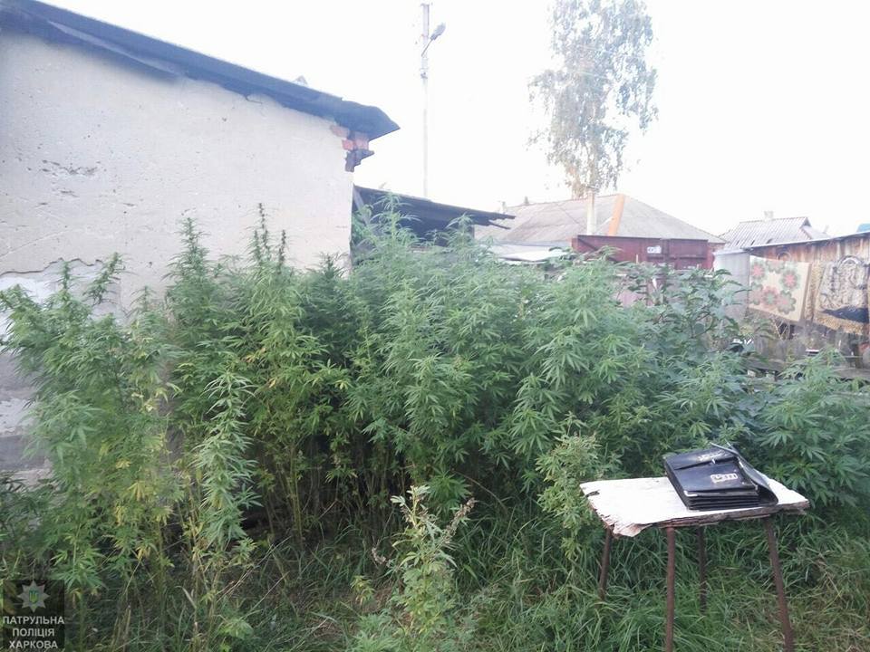 Опасное поле обнаружили на окраине Харькова (фото)