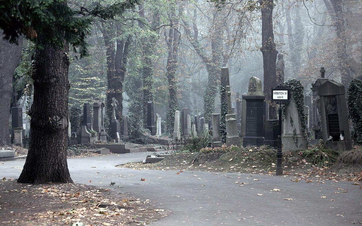 Случай на кладбище в Харьковской области получил неожиданную развязку