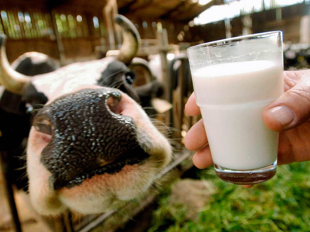 Стоимость молочных продуктов в Украине существенно увеличится