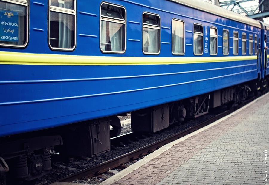 Из-за нервного вьетнамца в харьковском поезде случился переполох