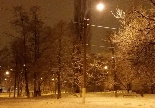 В Харькове прошел сильный снег (видео)