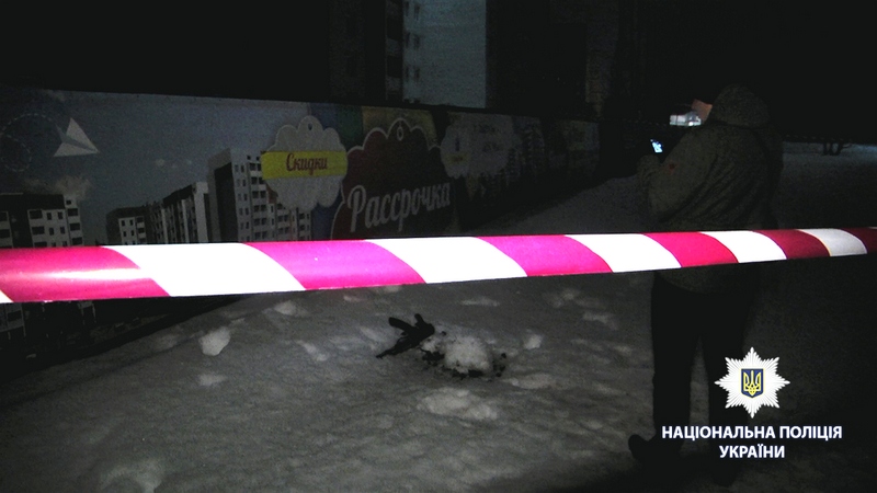 Расстрел иностранцев в Харькове. Полиция обнародовала видео