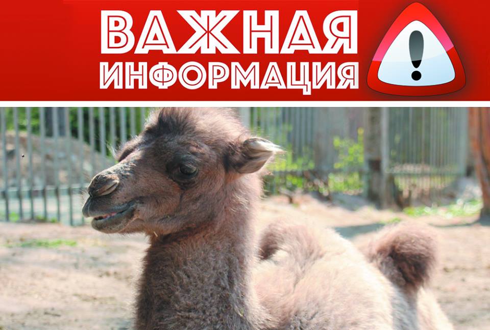 В Харькове всем миром придумывают имя новорожденному 