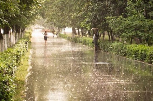 Дождь и град: прогноз погоды в Харькове и области на 14 июля