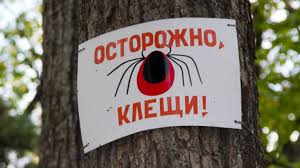 Харьковчан атакует опасная живность. Количество укушенных возросло