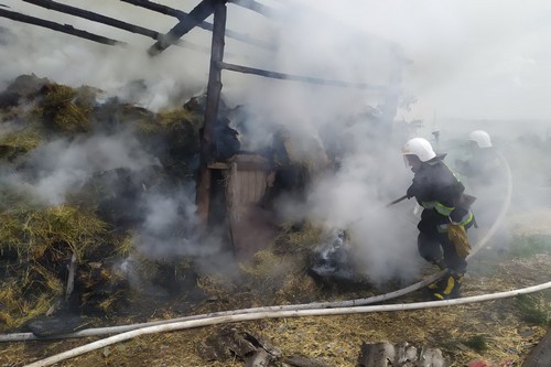 Масштабный пожар произошел на Харьковщине (фото)