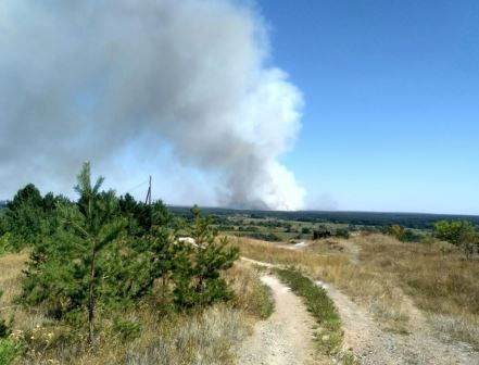 Пожар в Чугуевском районе: пламя локализовали