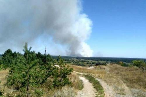 Лесной пожар в Чугуевском районе: людей просят стать цепью