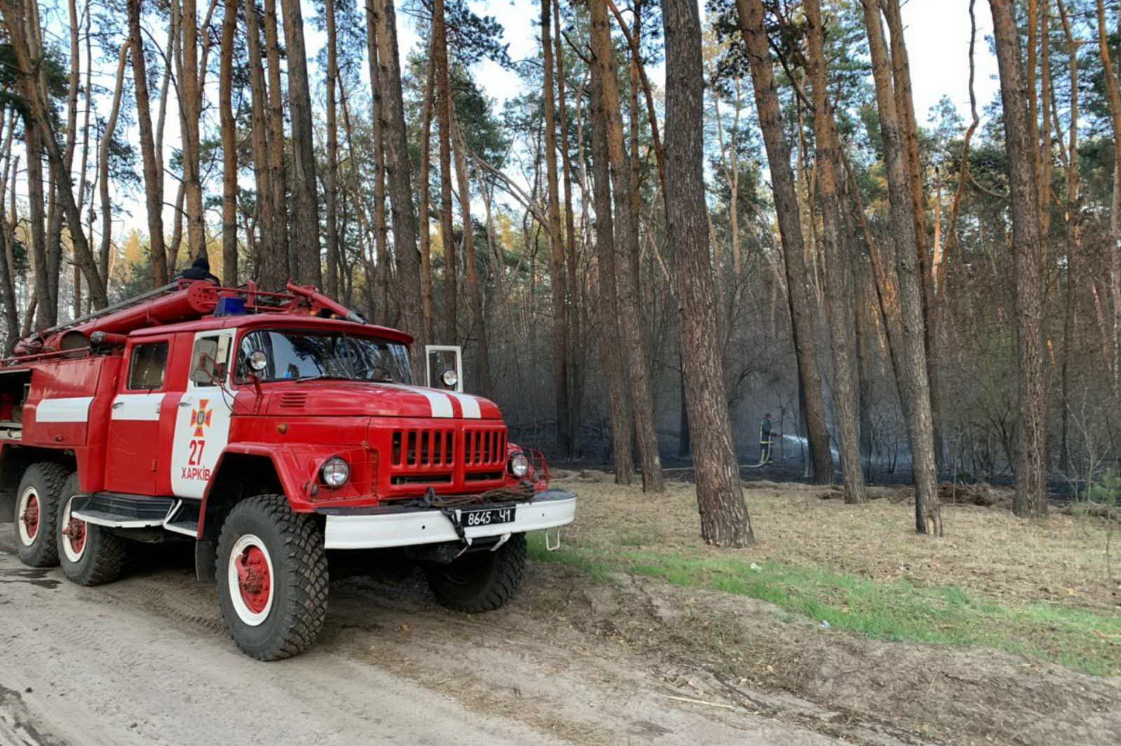 Очередной крупный пожар на Харьковщине. Горит еще один район (видео)