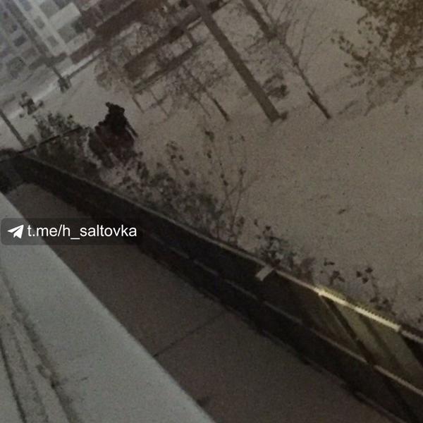 На крики сбежались соседи. В Харькове мужчина выпал из окна (фото)