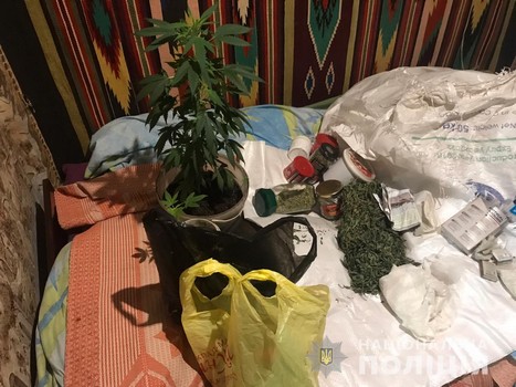 Жителю Харьковщины устроили выволочку из-за комнатных растений (фото)