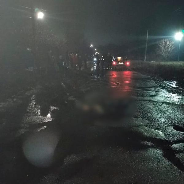 Происшествие в Харьковской области: пенсионерка погибла на улице