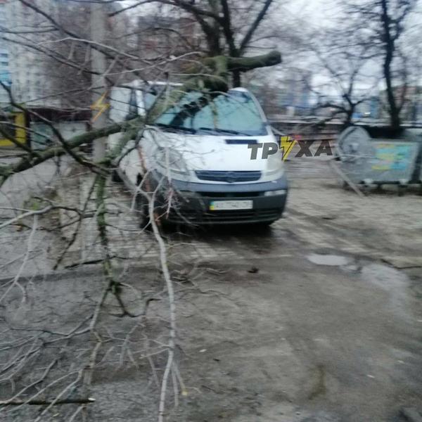 Сильный ветер в Харькове: деревья падали на тротуары и автомобили (фото)