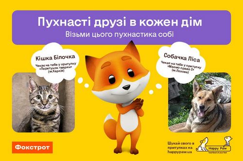 В Харькове запустили социальную кампанию по пристройству животных из приютов