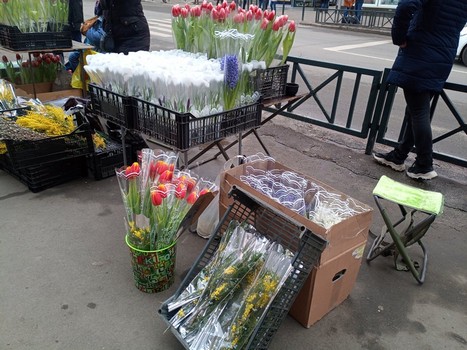 Праздничный ажиотаж. Сколько придется выложить за цветы в Харькове (фото)