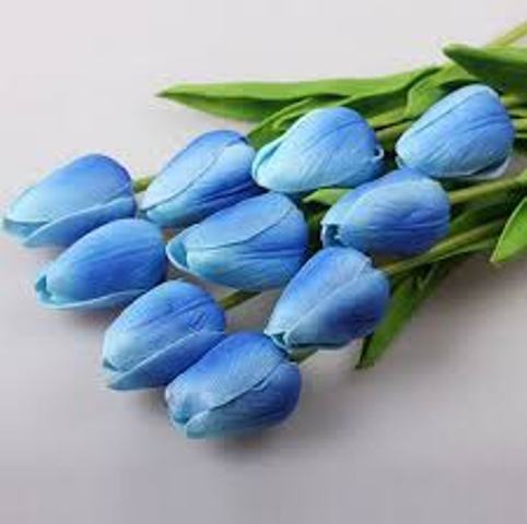 Харьковчанка поделилась курьезной историей о подарке с голубыми тюльпанами (фото) 