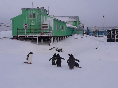 Трое харьковчан больше года проведут на Южном полюсе (инфографика)