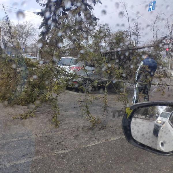  По Харькову пронесся ураган: какие последствия оставил сильный ветер (фото, видео)