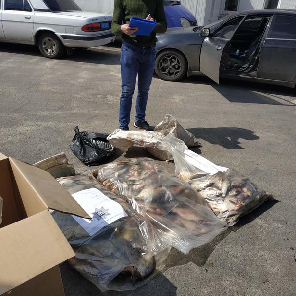 На Харьковщине у мужчины отобрали рыбу и скормили животным зоопарка