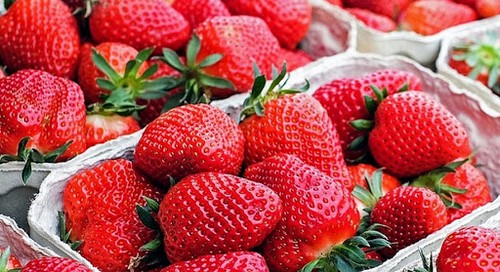 Стартовал сезон клубники: почем предлагают сезонную ягоду в Харькове 