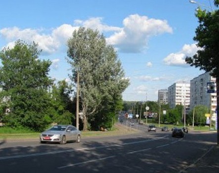 Расширение дороги и реверсивное движение: что изменится на улице Веснина в Харькове
