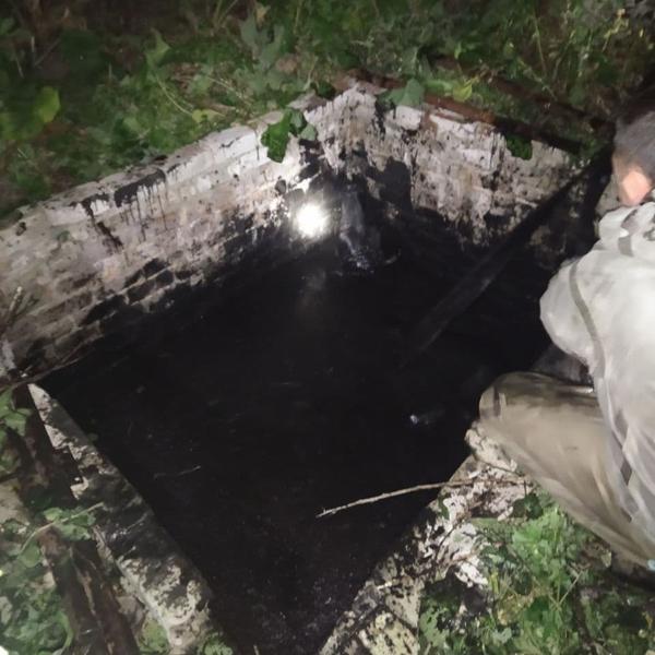 На Харьковщине кормилица семьи попала в подземную ловушку (фото)