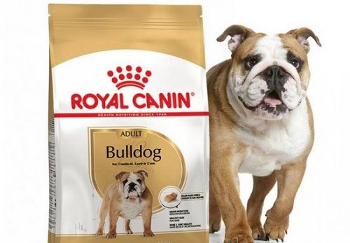 В чем преимущества сухого корма для собак Royal Canin