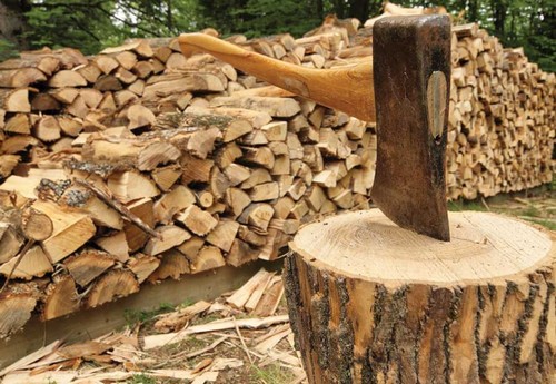 Особенности выбора и хранения дров для отопления дома