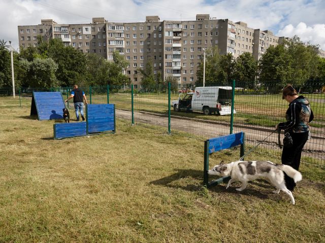 Вместо пустыря – площадка. В Харькове хотят оборудовать специальное место для четверолапых друзей