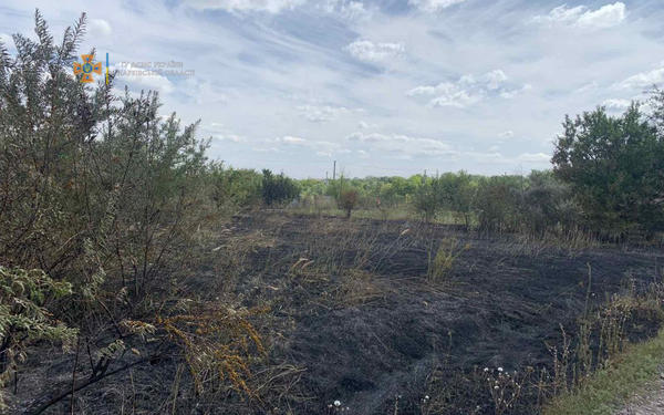 В Харьковской области выжгли дотла огромные территории