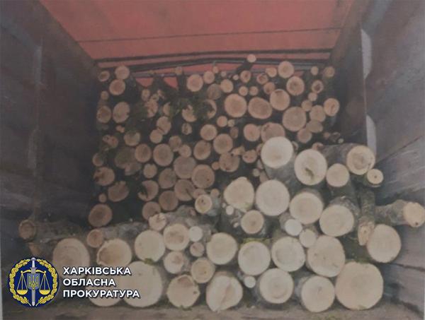 Перевозчик для «черных лесорубов»: мужчине из Харьковской области грозят годы тюрьмы (фото)