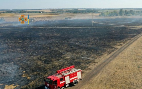 Масштабные пожары на Харьковщине: юноша пострадал во время тушения огня (фото, видео)