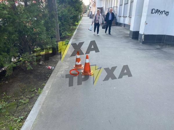 В Харькове посреди улицы выбросили человеческий зародыш (фото)