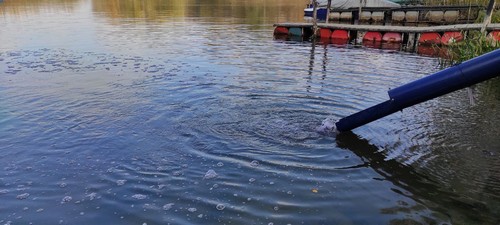 Зарыбление Печенежского водохранилища: как это происходит (фоторепортаж)