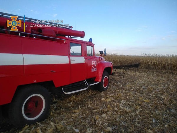 На Харьковщине загорелось кукурузное поле: чем закончилось ЧП (фото)