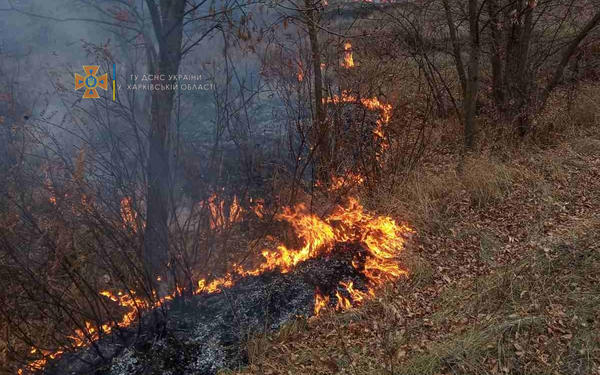 На Харьковщине уже третьи сутки не могут потушить пожар возле Северского Донца (фото)