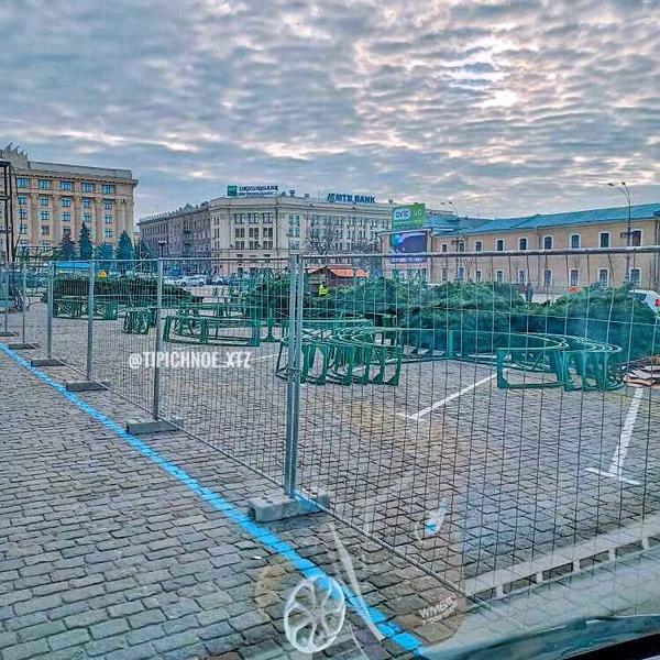 В центре Харькова начали устанавливать главный символ Нового года (видео)