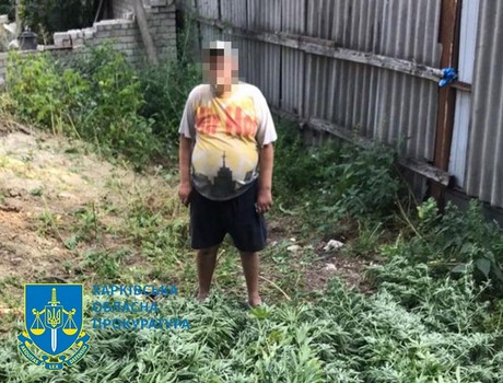 Харьковский агроном-любитель посеял во дворе запрещенное растение: что ему грозит (фото)