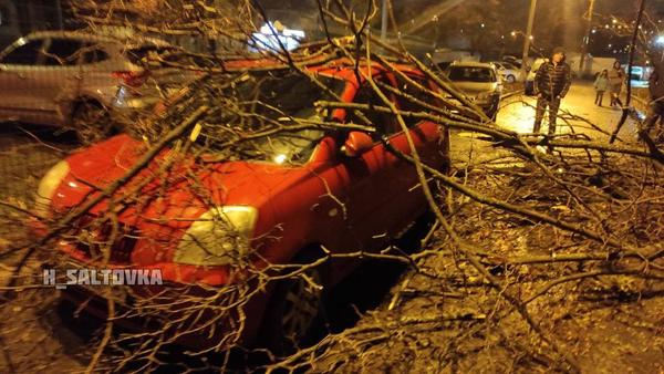 Разбитые машины, упавшие светофоры. Последствия «Бенедикта» в Харькове (фото, видео)